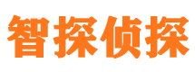 新干外遇调查取证